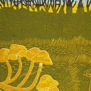 Rural tapes cover image cdn