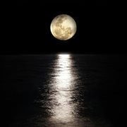 Together cover image cdn