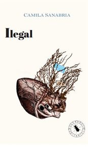 Ilegal cover image cdn