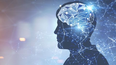 How Digital Technology Shapes Us. Episode 1, How Experience Alters the Brain cover image cdn