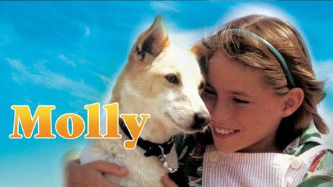 Molly cover image cdn