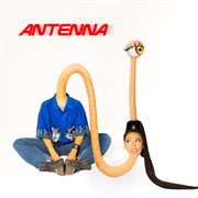 Antenna cover image cdn