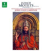 Bach: motets, bwv 225 - 231, cantatas, bwv 50 & 118 : Cantatas, BWV 50 & 118 cover image cdn