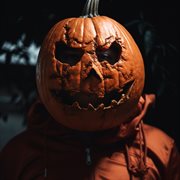 Born to the west cover image cdn