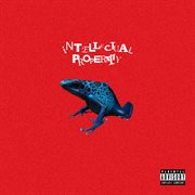 Intellectual property cover image cdn