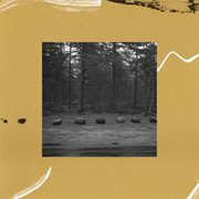 Laulasmaa [live at the arvo pärt centre, estonia / 2022] cover image cdn