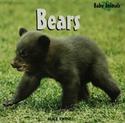 Bears cover image cdn