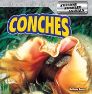 Conches cover image cdn