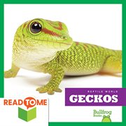 Geckos cover image cdn