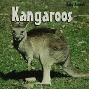 Kangaroos cover image cdn