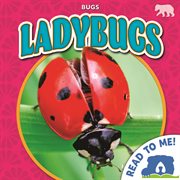 Ladybugs cover image cdn