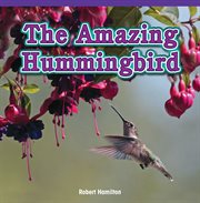 Amazing Hummingbird cover image cdn