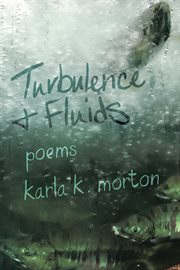 Turbulence & fluids cover image cdn