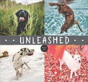Unleashed cover image cdn