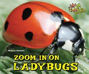 Zoom in on ladybugs cover image cdn
