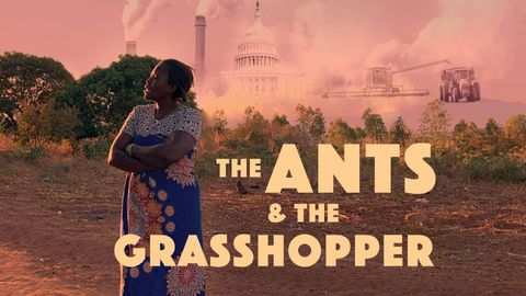 The Ants & the Grasshopper cover image cdn