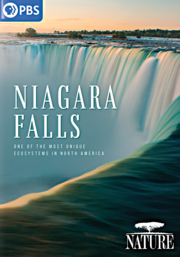 Niagara Falls cover image cdn