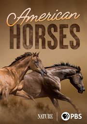 American Horses : Nature cover image cdn