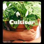 Cultivar cover image cdn
