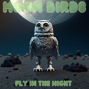 Fly In The Night cover image cdn