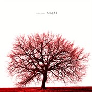 Macro cover image cdn