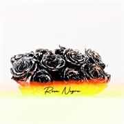 Rosa Negra cover image cdn