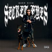 Secret Eyes cover image cdn