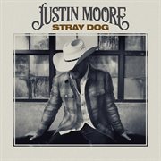Stray dog cover image cdn