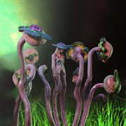 The Identity Of Belonging cover image cdn