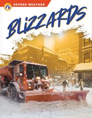 Blizzards cover image cdn