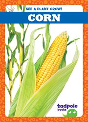 Corn cover image cdn