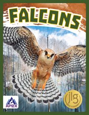 Falcons cover image cdn