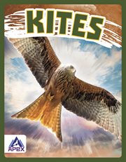 Kites cover image cdn