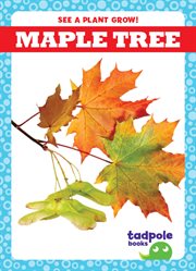 Maple Tree cover image cdn
