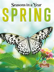 Spring cover image cdn