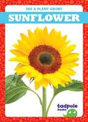 Sunflower cover image cdn