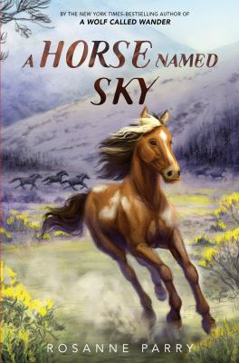A horse named Sky  cover image cdn