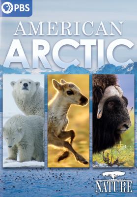 American Arctic cover image cdn