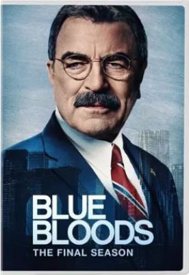 Blue bloods. Season 14 cover image cdn