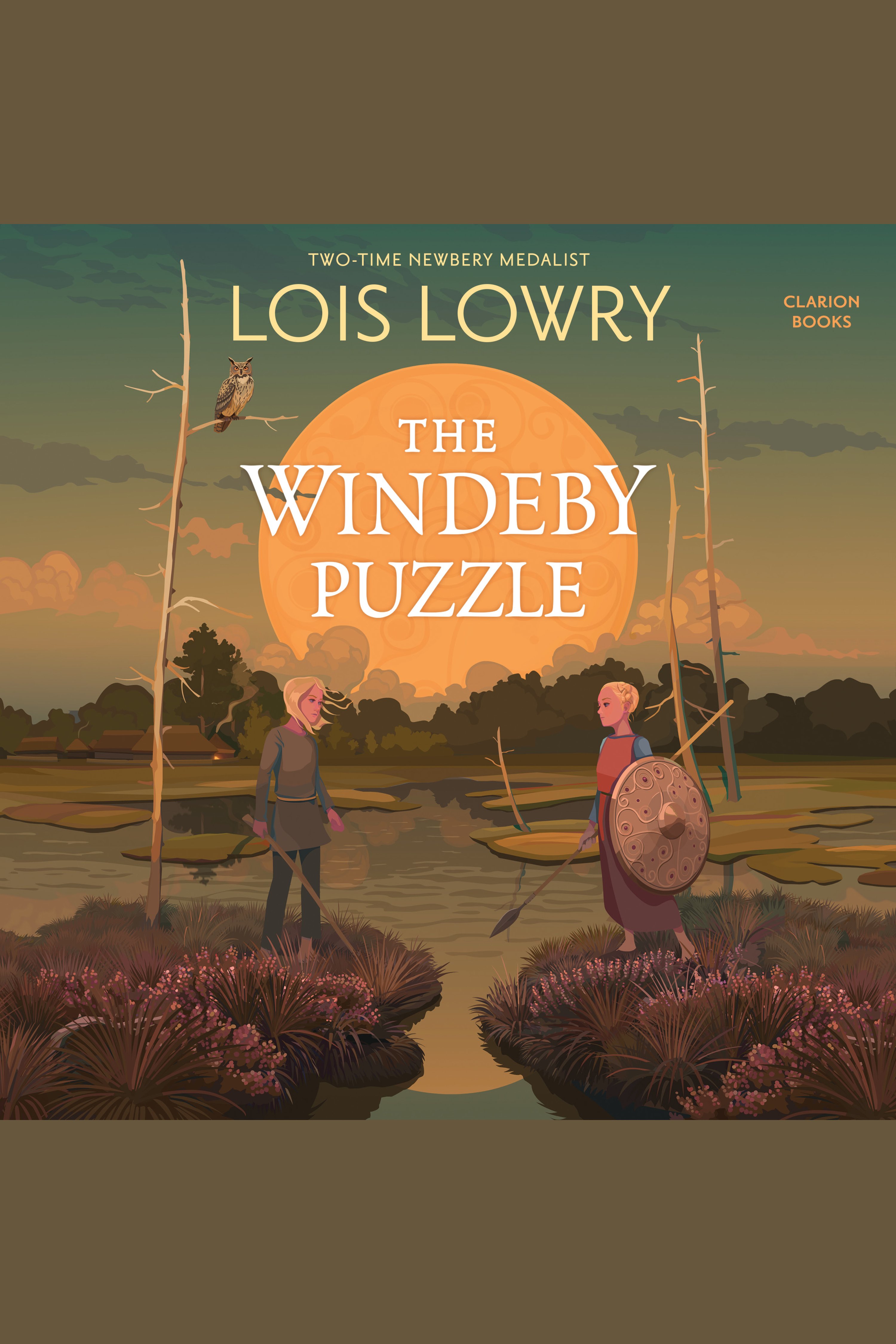 The Windeby Puzzle History and Story cover image cdn