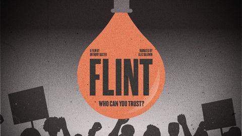 Flint cover image cdn