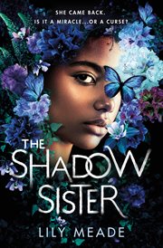 The Shadow Sister cover image cdn