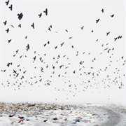 Anti - ep cover image cdn