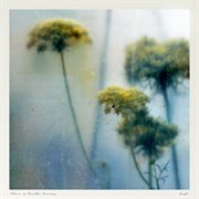 Colour is breathe (remixes) cover image cdn