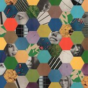 Duck in Idaho cover image cdn