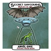 FLYING WITH BATS cover image cdn