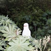 homemade jams from jules & jessica's kitchen cover image cdn