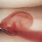 Hunting cover image cdn