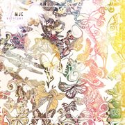 Metacoma cover image cdn