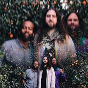 Ojai Orange Grove Concert cover image cdn